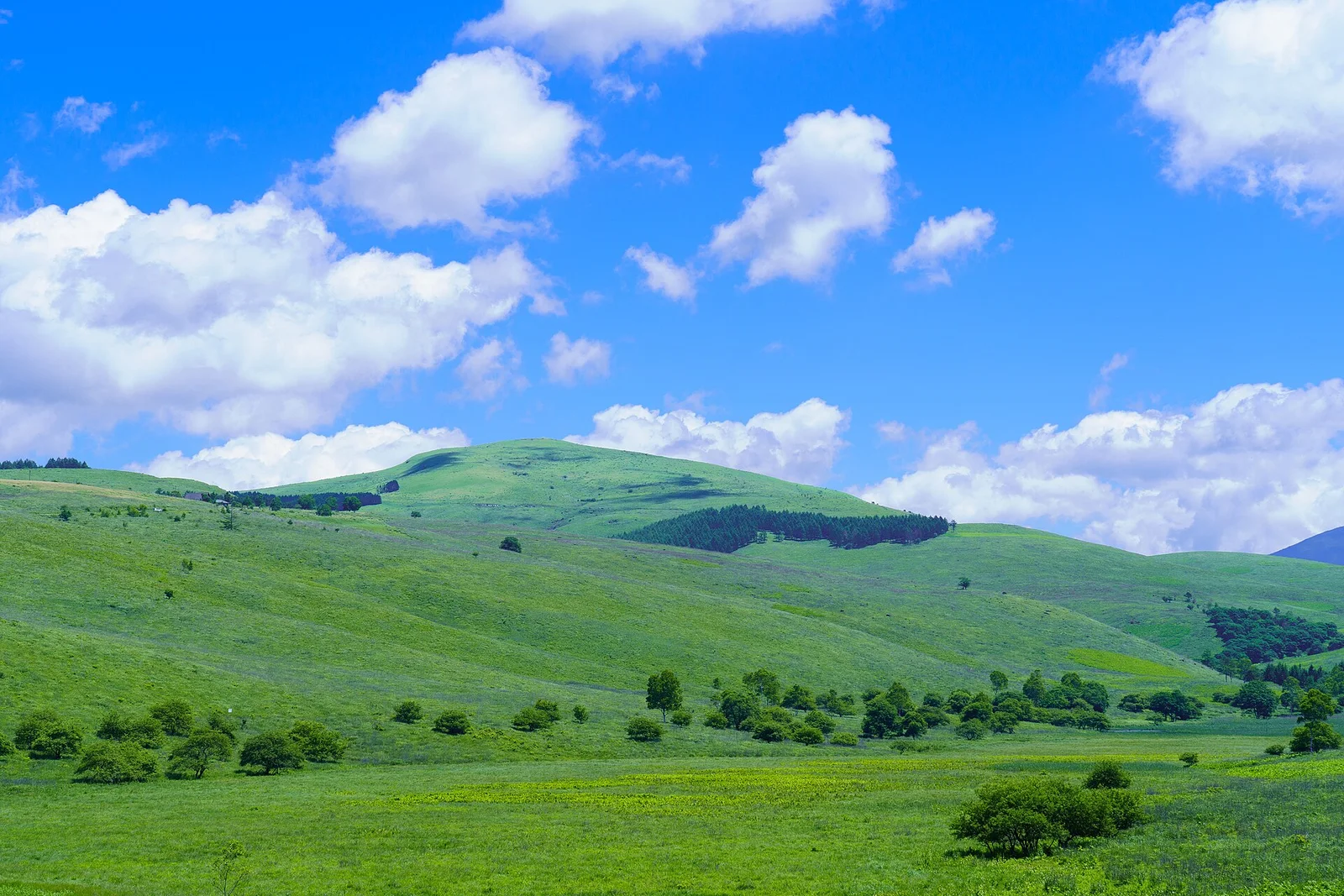霧ヶ峰高原に広がる草原と丘