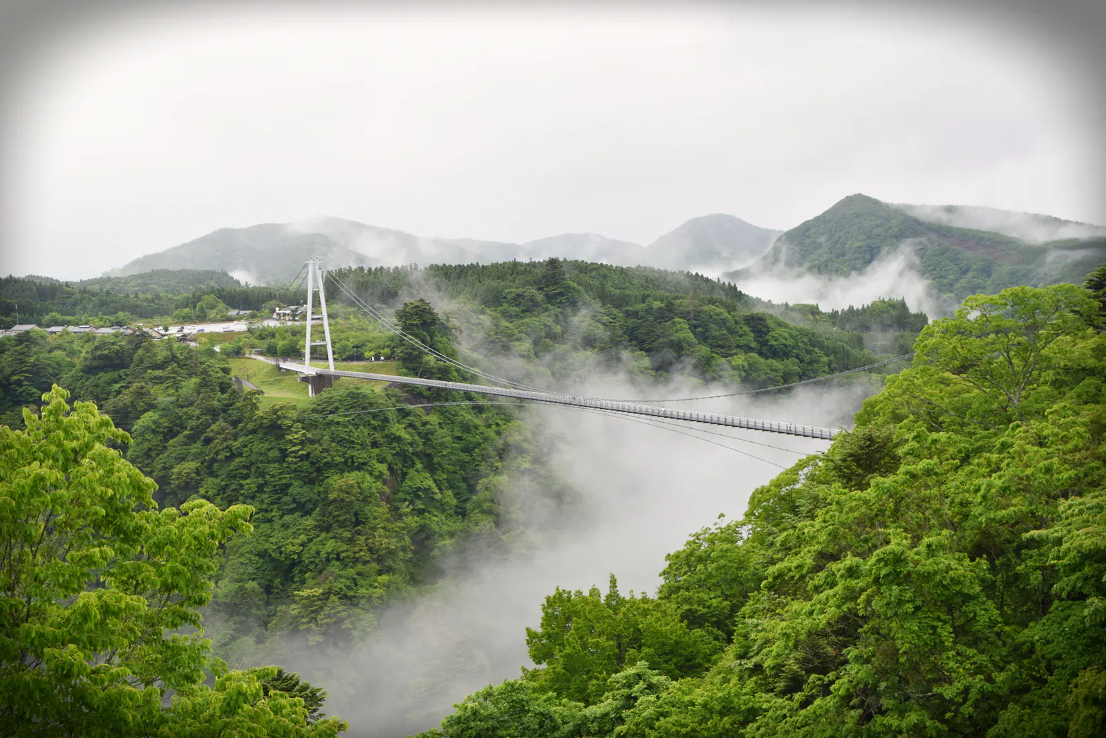 山あいの谷に架かる九重夢大吊橋