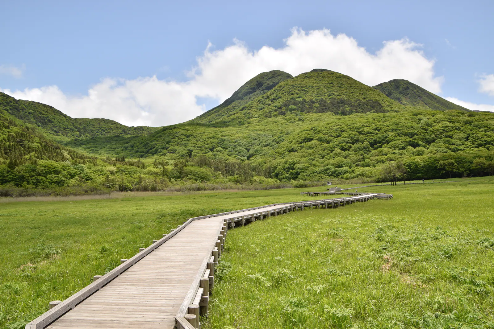 木道が伸びるタデ原湿原とくじゅう連山