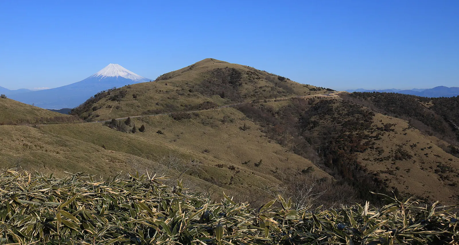 西伊豆スカイラインから望む富士山と達磨山