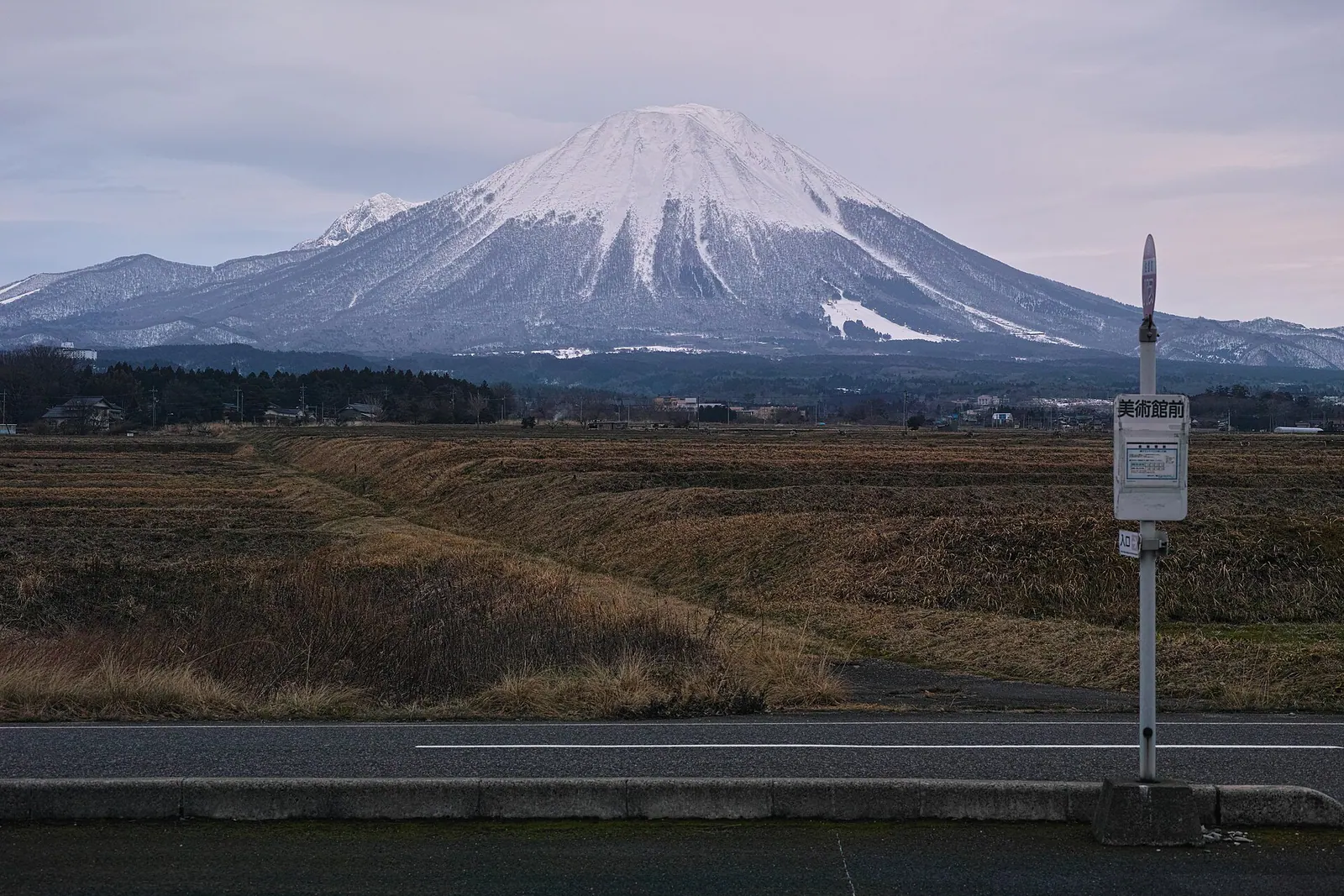 伯耆側から望む雪の大山