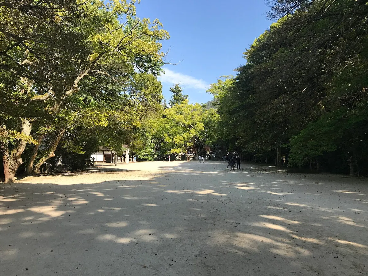 木立に囲まれた大山祇神社の境内
