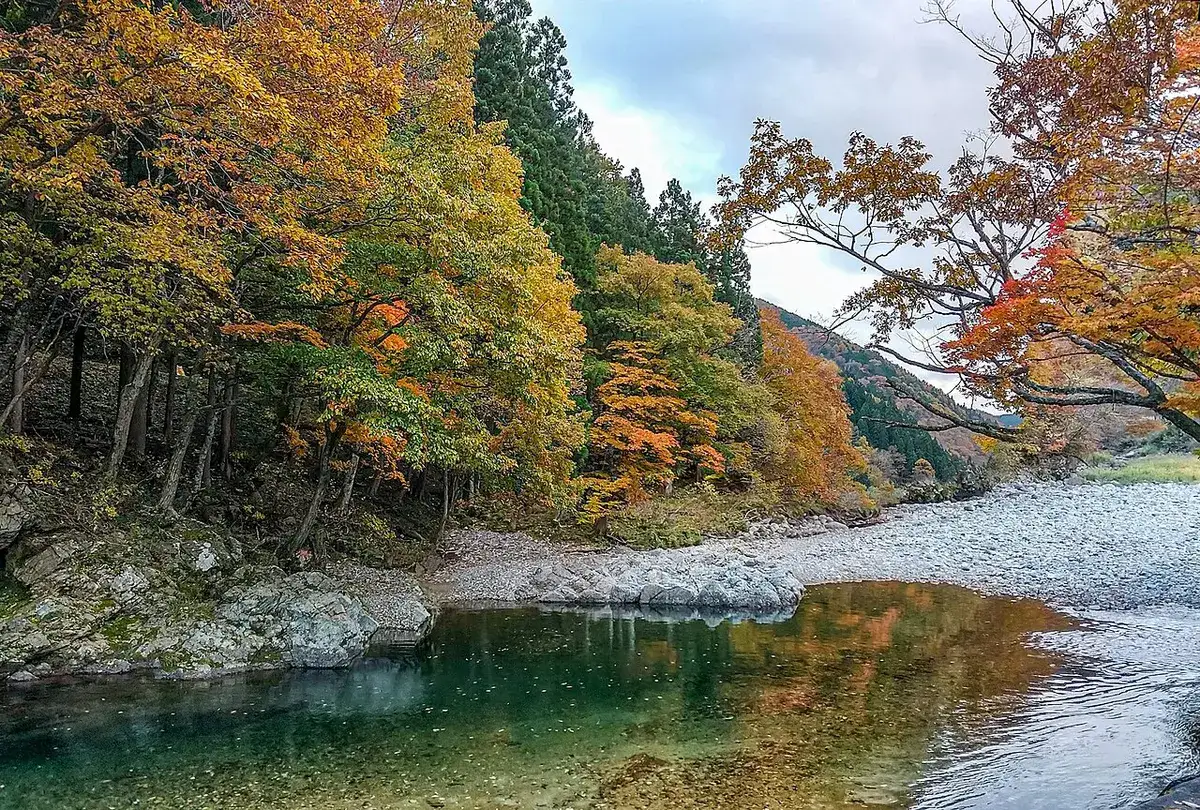 道の駅パスカル清見付近の馬瀬川と紅葉