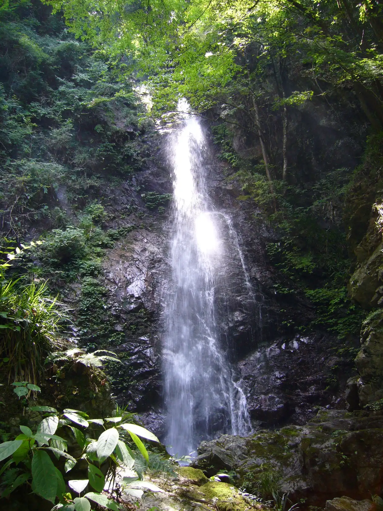 2007年に撮影された檜原村の払沢の滝