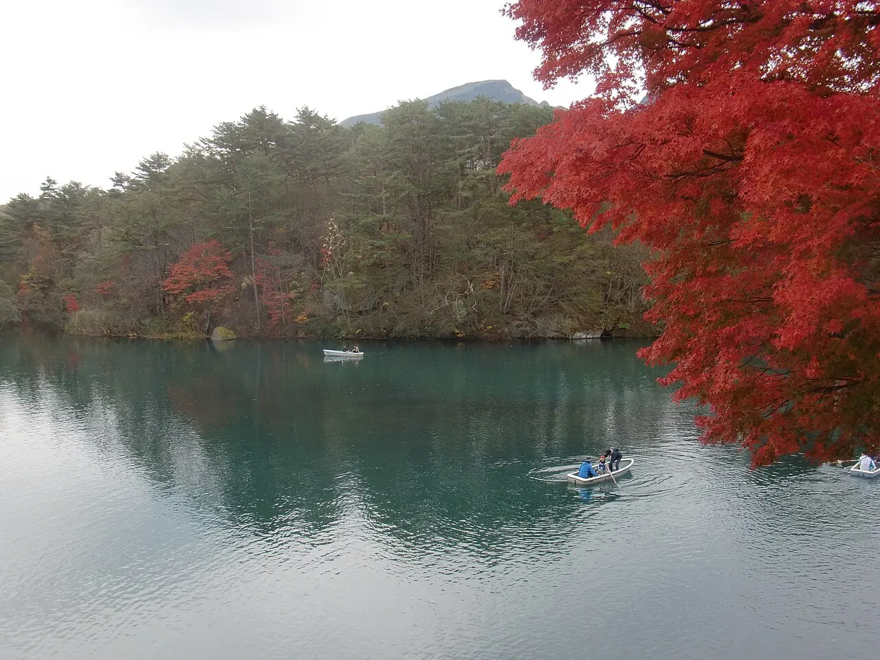 2019年に撮影された、紅葉と毘沙門沼