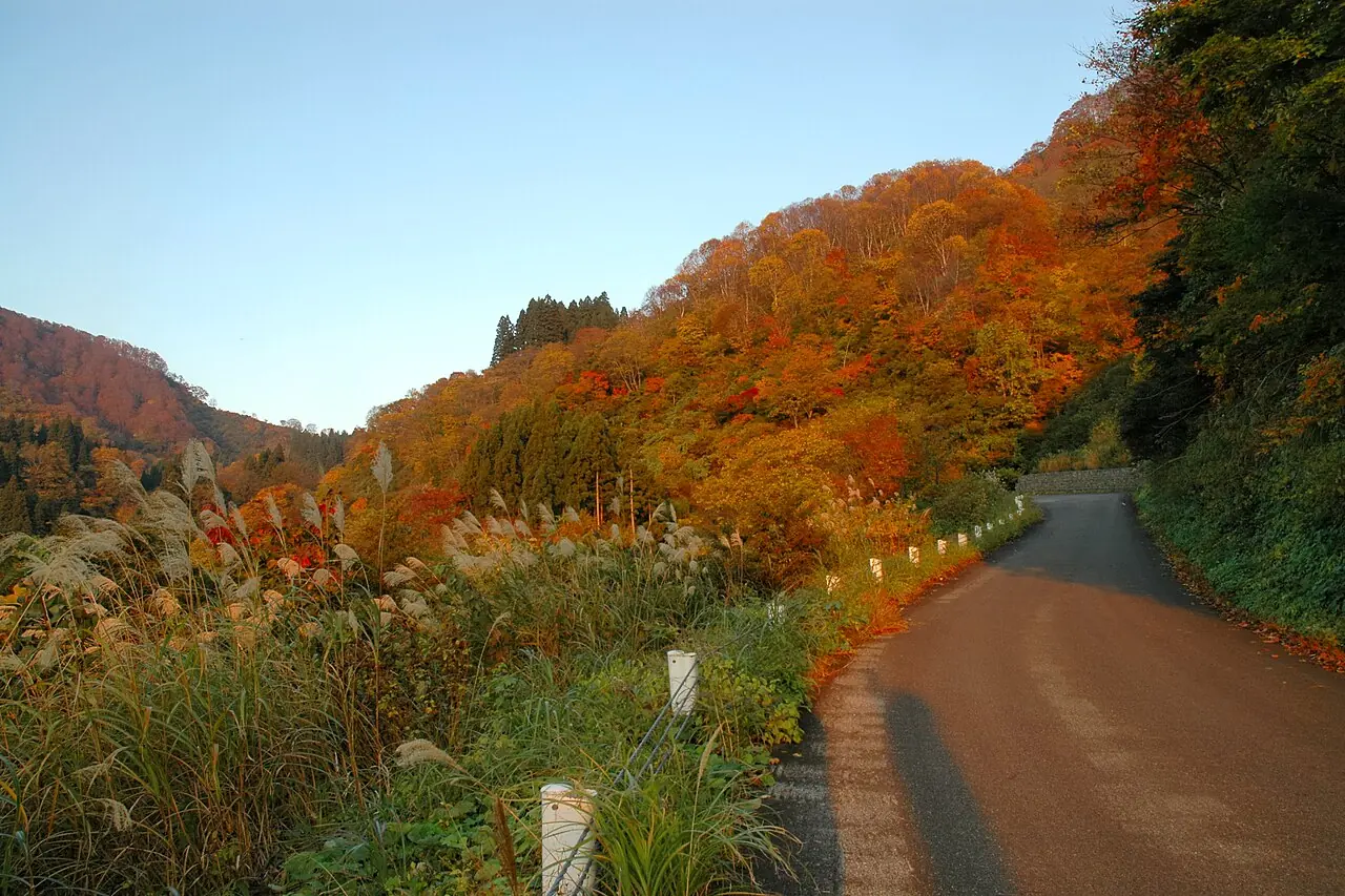 2006年11月に魚沼スカイラインで撮影された紅葉の沿道とカーブ