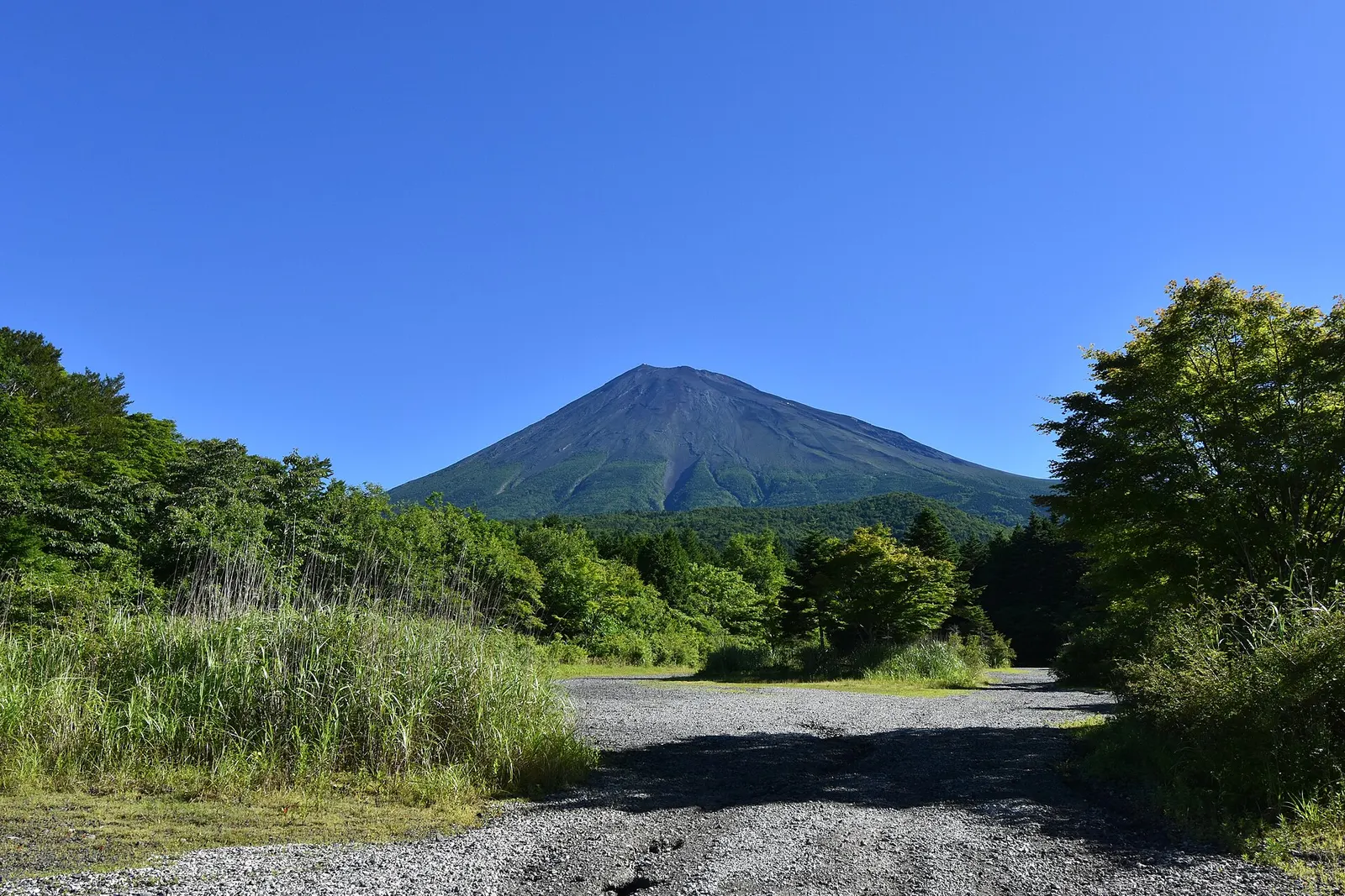 2025年に撮影された西臼塚駐車場と富士山