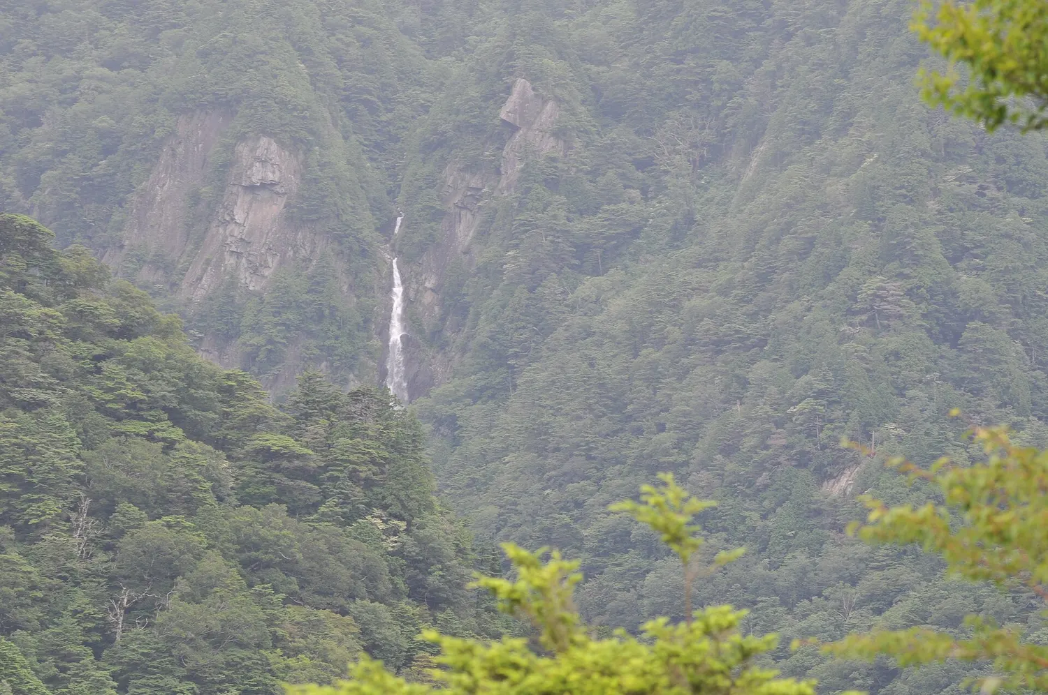 2009年8月に石鎚スカイラインから遠望した御来光の滝