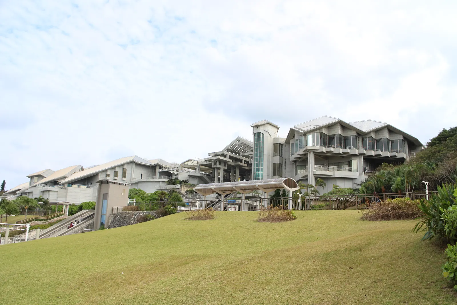 沖縄美ら海水族館の建物と芝生の広場