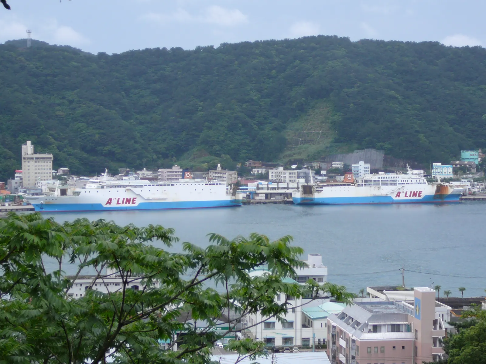 名瀬港越しに見える街並みと背後の山