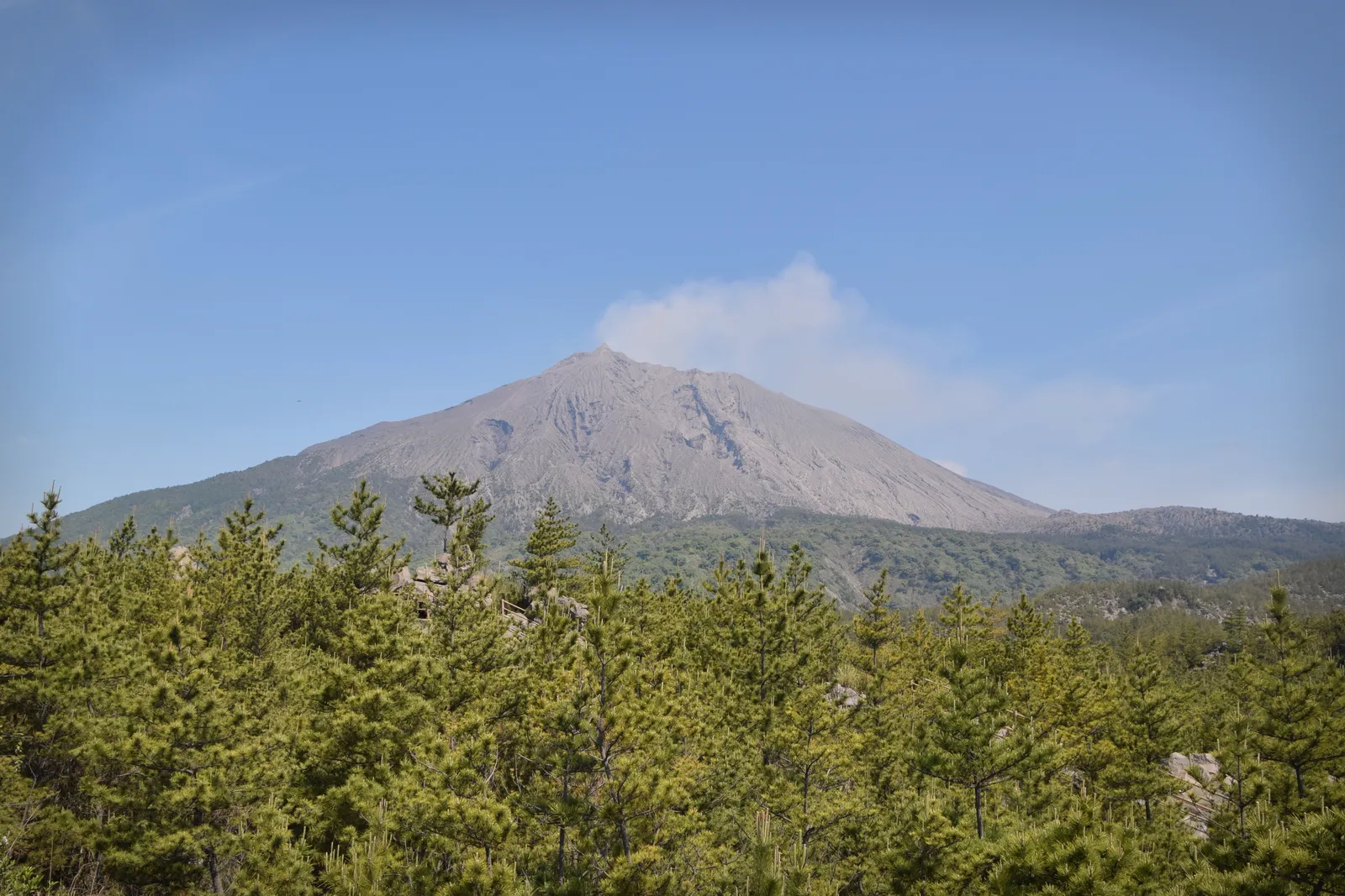 有村溶岩展望所から望む桜島