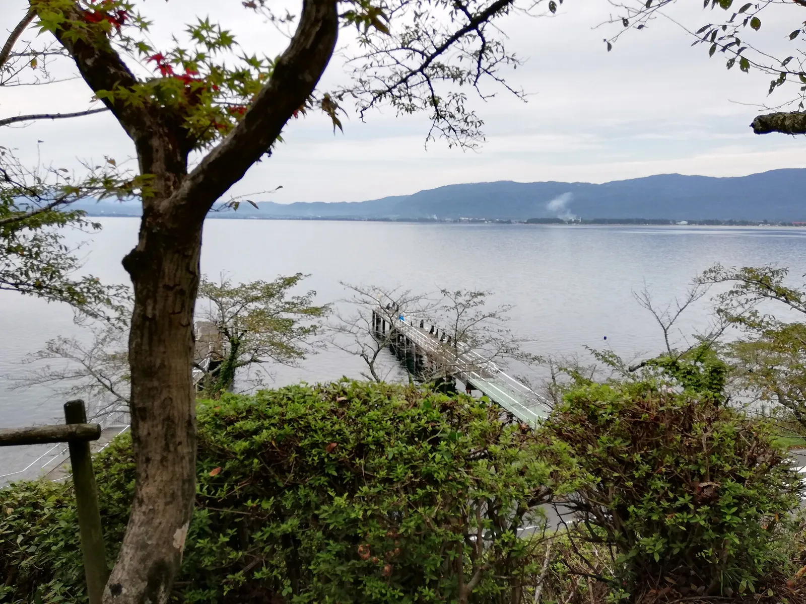 海津大崎の木々の間から見える琵琶湖