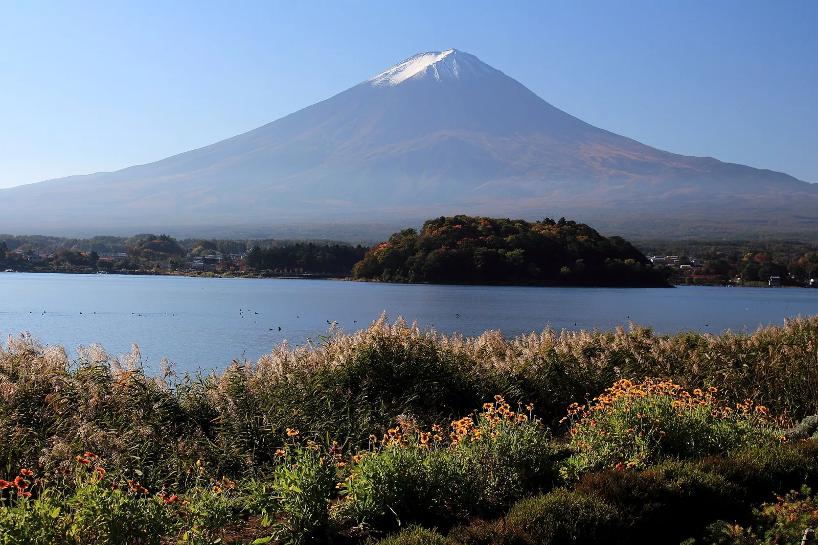 大石公園から河口湖越しに望む富士山
