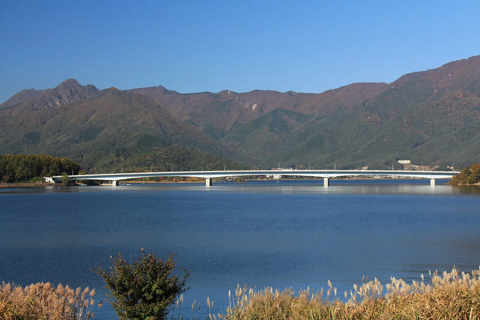 南岸側から望む河口湖大橋と湖面
